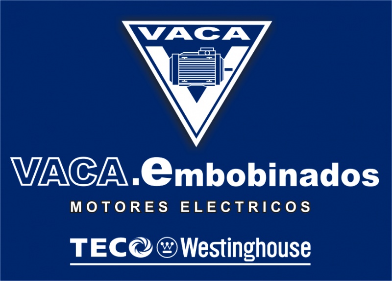 Motores TECO Westinghouse_Guadalajara_Motores Electricos Vaca_Motores trifasicos_Drives_Variadores de Frecuencia